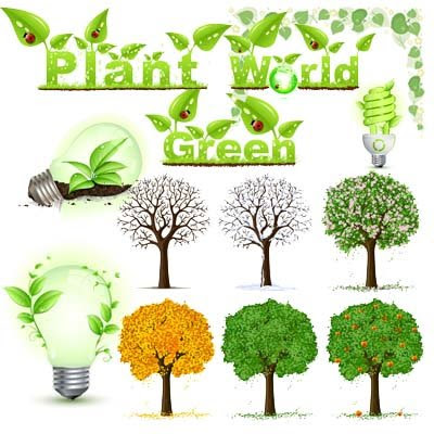 Vector Plant Green World