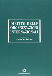 Diritto delle organizzazioni internazionali