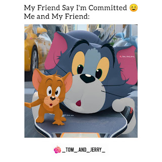 Tom and Jerry Photos For Instagram