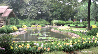 chrysanthemums and pond, Suzhou, China