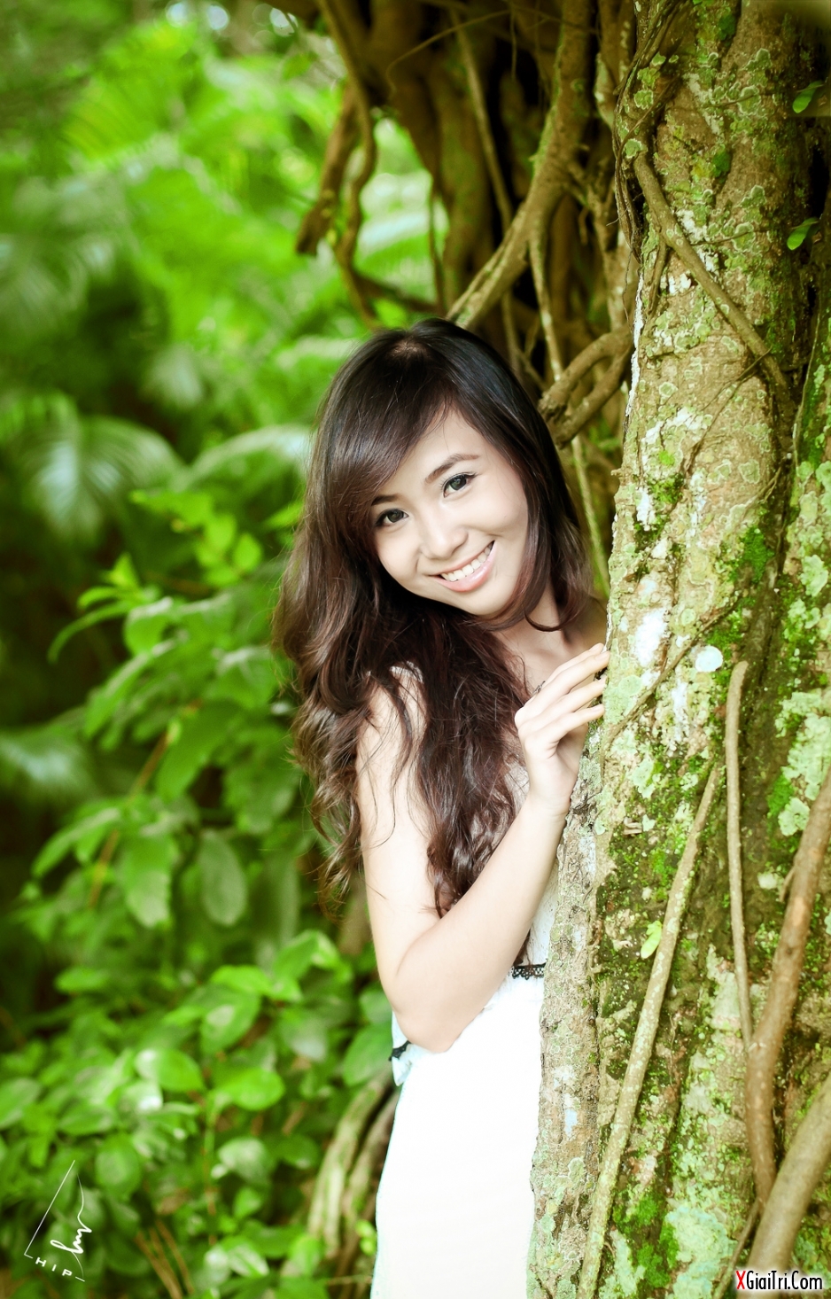 Shu Linh- thiên sứ trong rừng