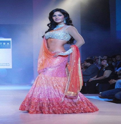 Saree Pics Bollywood Actress Katrina Kaif
