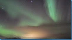 IMG_0556_1_1