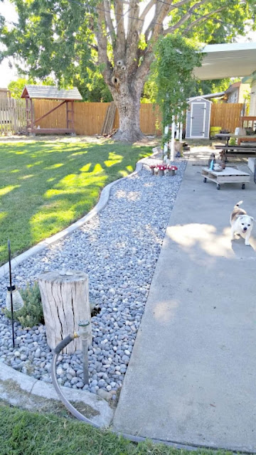 How to Add Interest to a Boring Backyard