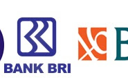 Kemendikbud Uji Coba Kip Plus