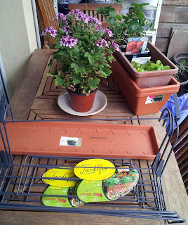 Des balconnières, des supports de rambardes de terrasse, des fraisiers, des salades...