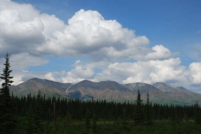 Denali State Park