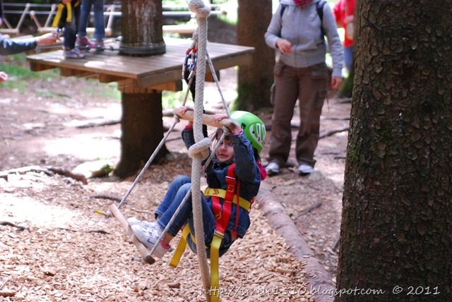 Sofia agility 5