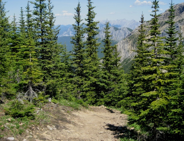 Sulphur Skyline Jasper