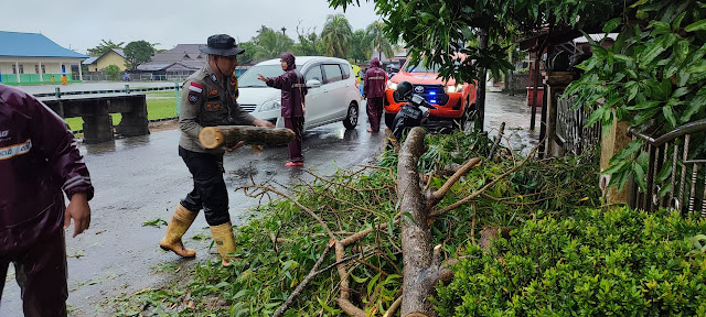 Kapolres Natuna Kerahkan Personelnya Mengevakuasi Pohon Tumbang