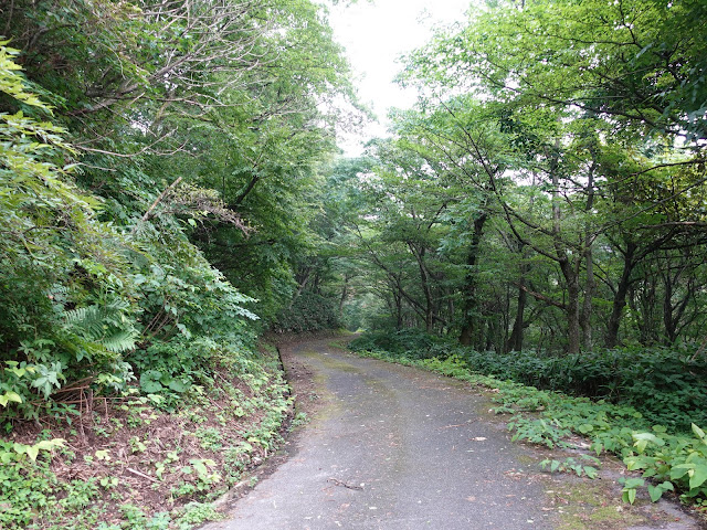 香取草谷展望駐車場に向かう山道