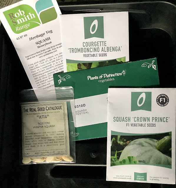 Squash seeds