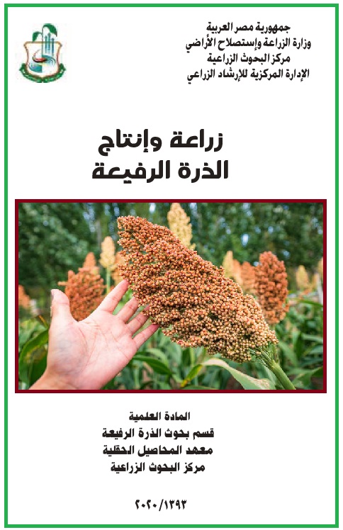 ملف كامل في الممارسات الزراعية المثلى لزراعة و إنتاج الذرة الرفيعة