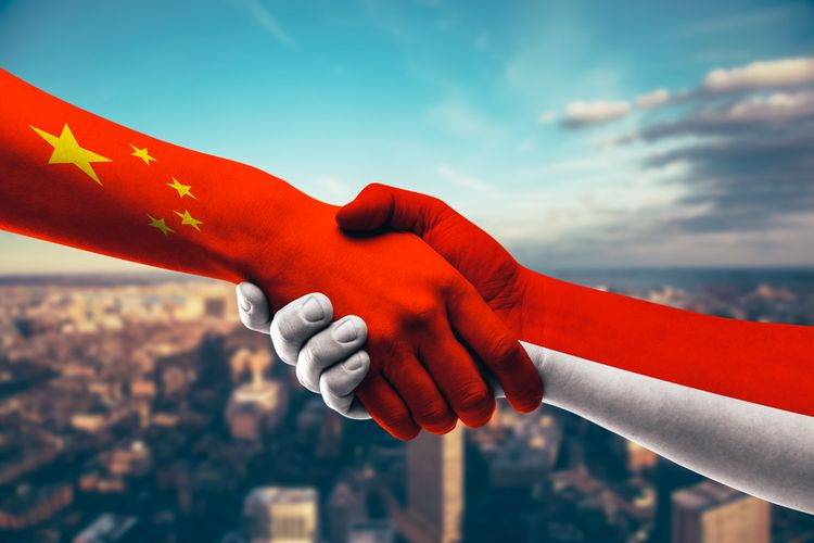 Bukan Soal Dana, Pengamat Ini Beberkan Penyebab 'Investasi China' di Indonesia Selalu Bermasalah