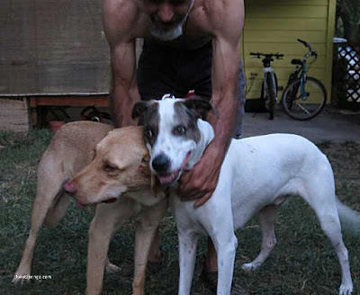 Picture of dog owner holding his two dogs playfully