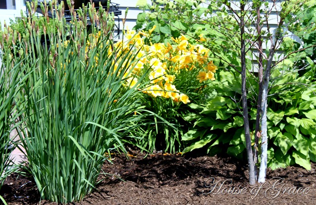 2010 06 06_4593