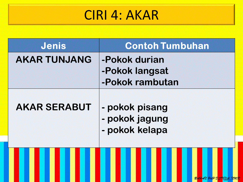 Dunia Sains dan Teknologi (Belajar dengan Ceria): DST 