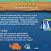 Feeding Frenzy 2 Download