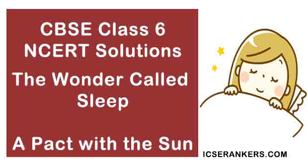 NCERT Solutions for Class 6th English Chapter 7 The Wonder Called Sleep