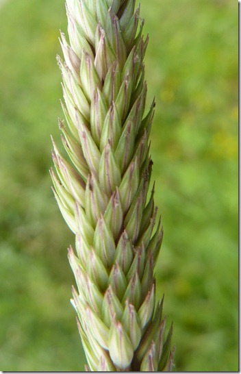 P1100458
