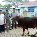 Helmi Moesim: Jemput Asprasi Warga Sekaligus Beri Batuan Satu Ekor Sapi Qurban di Kelurahan Seberang Palinggam.