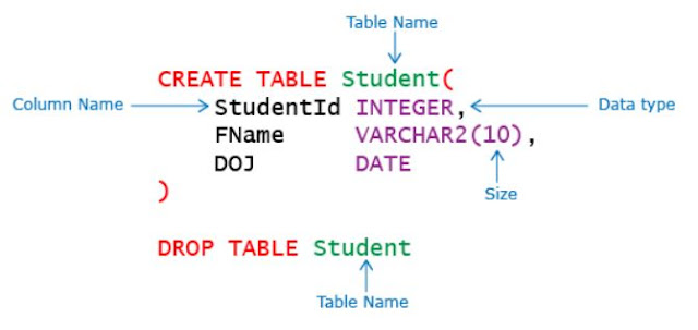 DDL Statements - Create and Drop Table || DBMS Tutorial 4