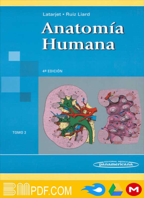 Latarjet Anatomía Humana 4a Edición T2 PDF