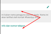 Ingin Menghilangkan Nama Profil di WhatsApp, Ikuti Langkahnya 