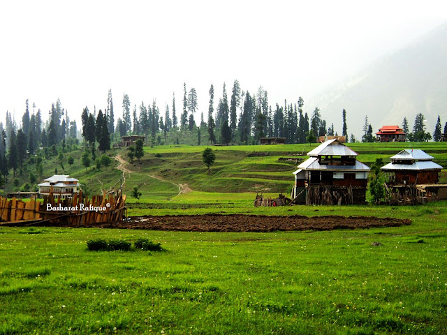 ARANG KALE : KALE : NEELUM VALLEY