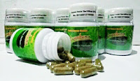 obat herbal tumor dan kanker