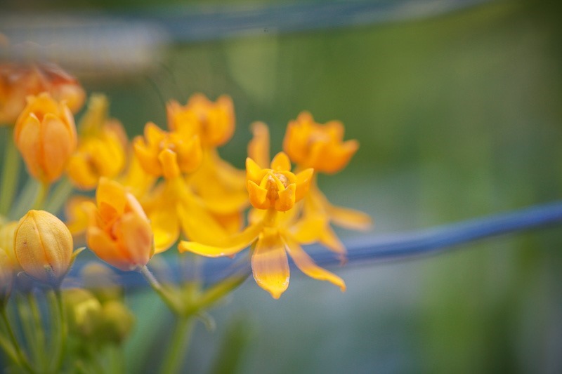 june awesomeness-31