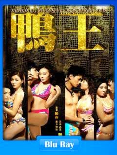 [18+] The Gigolo (2015) BluRay 480p 400MB Poster