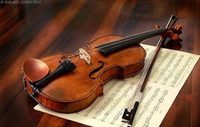 Violin classes in nagpur