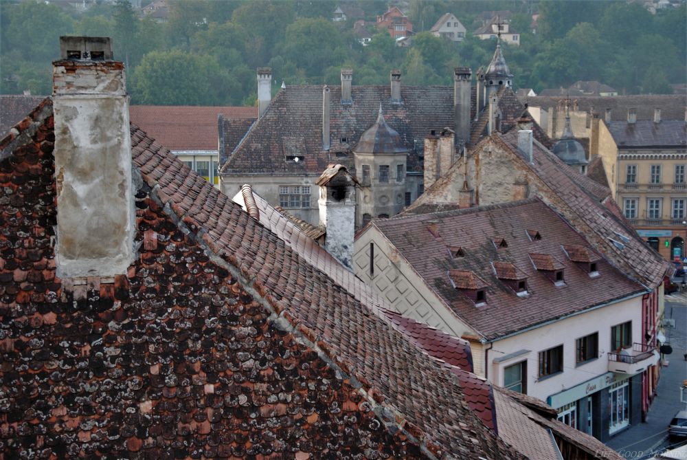 Sighisoara - serce Transylwanii. 