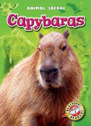 Capybara by Megan Borgert-Spaniol