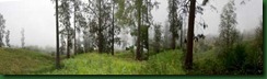 clip_image004