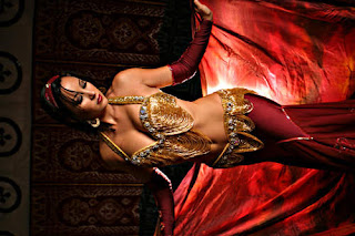 Belly Dance Skirt