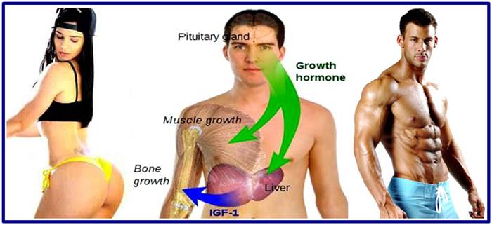 Ways to increase growth hormone production