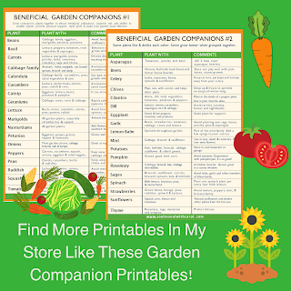 garden companion planting printable