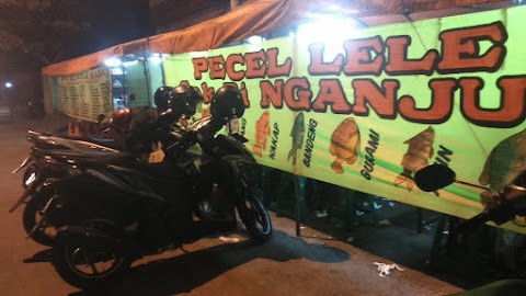 Berburu Ikan patin pada Malam liburan