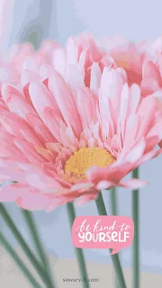صور رائعة للواتس اب