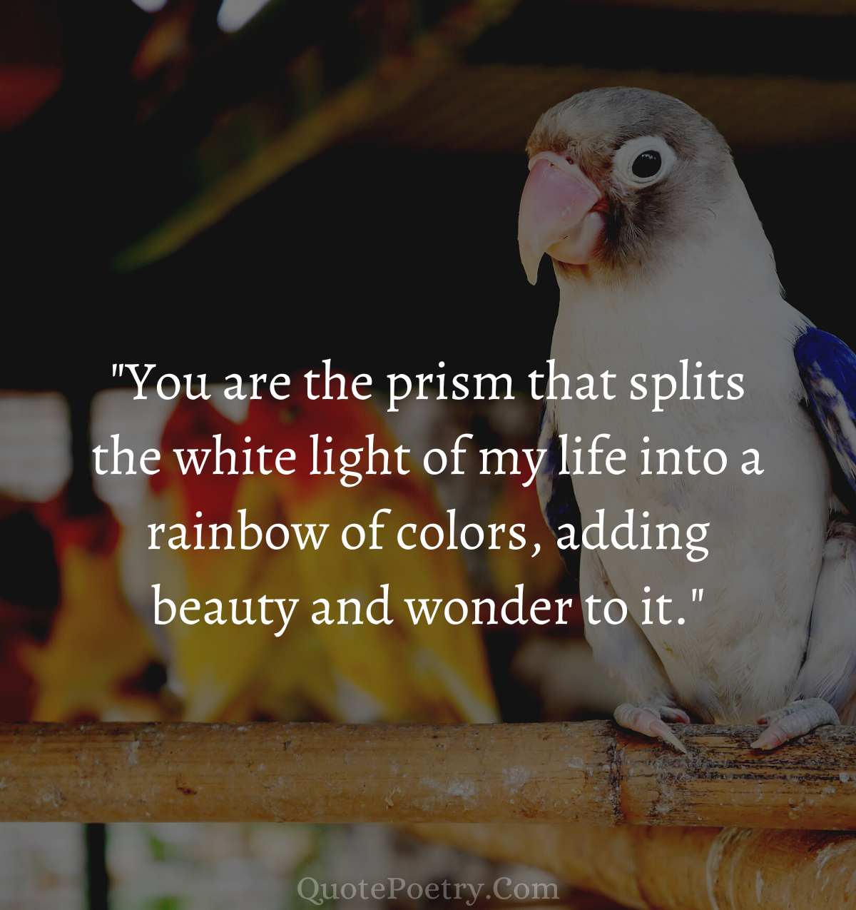 40 You Bring Color To My Life Quotes - Quote Poetry