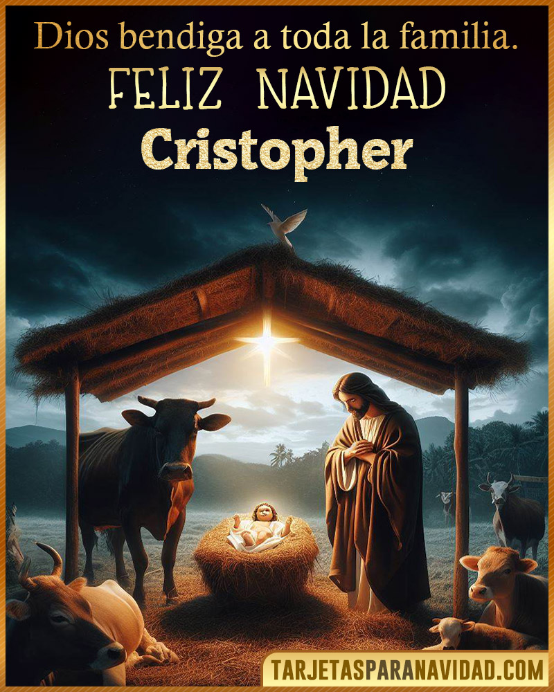 Feliz Navidad Cristopher