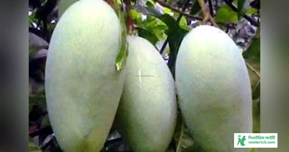 Fazli Mango Pic - Mango Pic Download - Raw Mango Pic - mango pic - NeotericIT.com - Image no 9