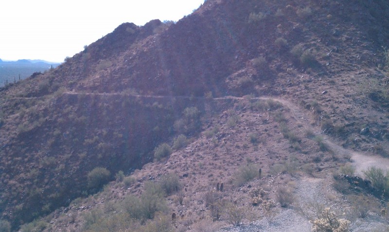 Desert Trail Runner