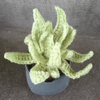 PATRON CACTUS AMIGURUMI 28726