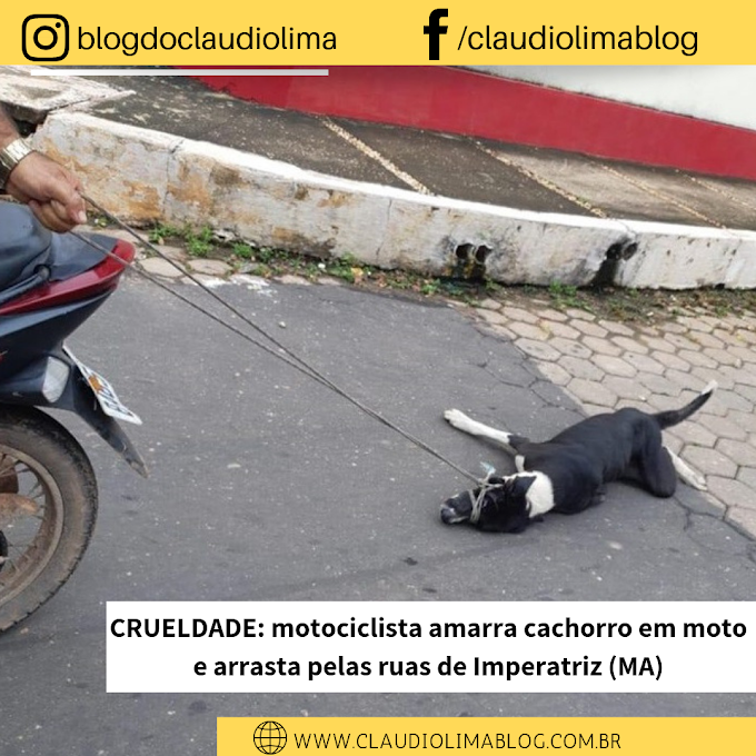 CRUELDADE: motociclista amarra cachorro em moto e arrasta pelas ruas de Imperatriz (MA). ASSISTA AO VÍDEO!