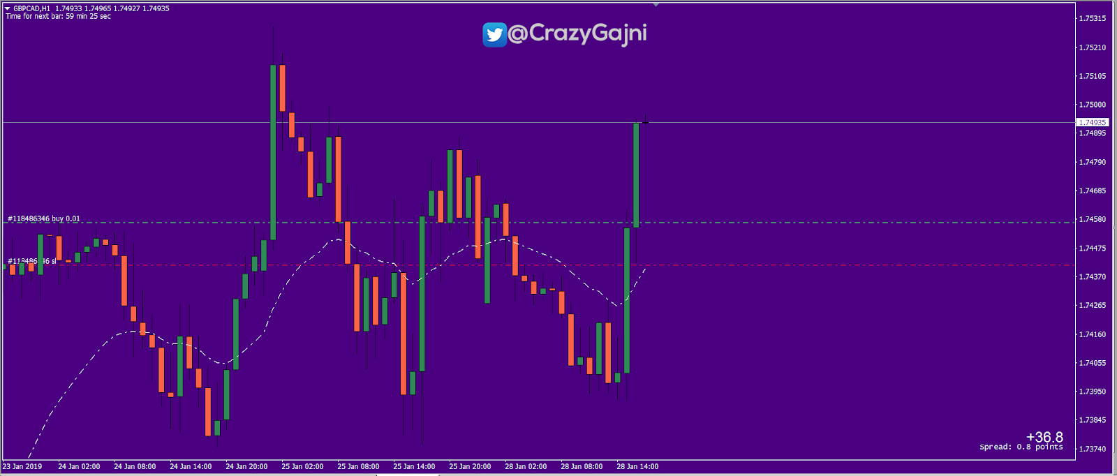 248 + PIPS Profits in Eleven Trades (28-01-2019) 