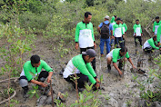 Lestarikan Lingkungan, PT Timah Tbk Telah Tanam Puluhan Ribu Mangrove