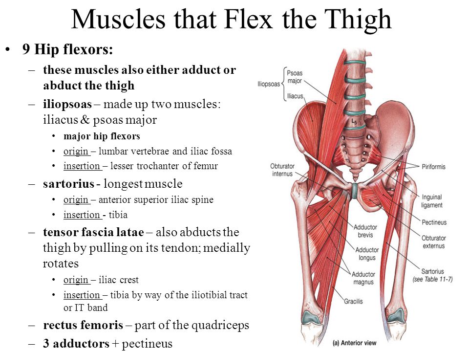 AMRAP Fitness Strength and Conditioning: January 2016